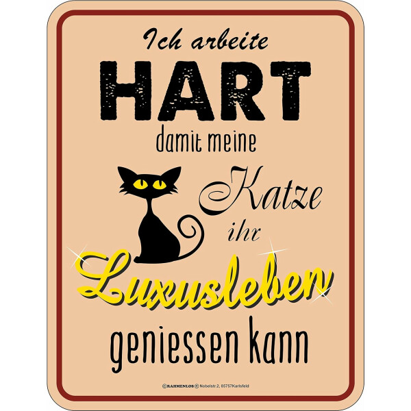 RAHMENLOS Original Blechschild Luxusleben Katze