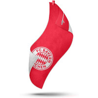 Stryve Towell + | Sporthandtuch mit Tasche und Magnetclip - Bekannt aus Die Höhle der Löwen FC Bayern Edition