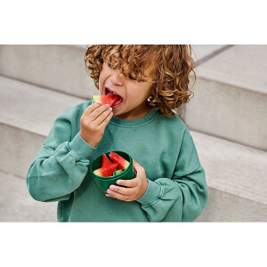 Mepal | Kinder Obst- und Bento Box | Campus meets Fruits | Spülmaschinenfest & BPA-frei | 300 & 750 ml | Mit Fächern, Gabel & Clip-Verschluss | Perfekt für Snacks & Mahlzeiten | Wild Tiger
