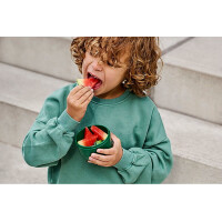 Mepal | Kinder Obst- und Bento Box | Campus meets Fruits | Spülmaschinenfest & BPA-frei | 300 & 750 ml | Mit Fächern, Gabel & Clip-Verschluss | Perfekt für Snacks & Mahlzeiten | Wild Tiger