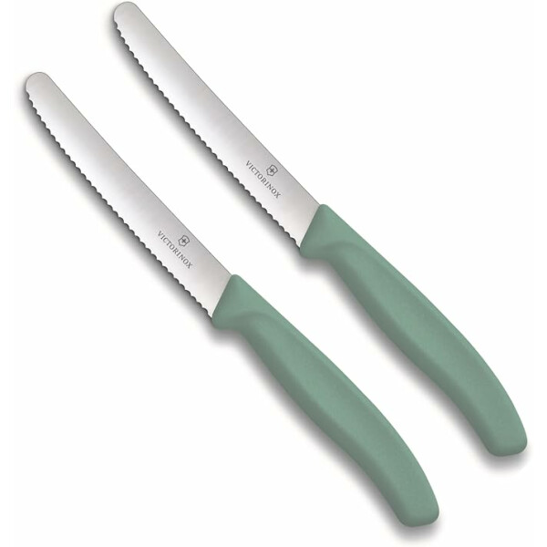 Victorinox | Tafelmesser Swiss Classic | 2 Stück | Mintgrün | Swiss Made | ideal auch als Frühstücksmesser