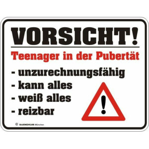 RAHMENLOS Original Blechschild für genervte Eltern: Vorsicht Teenager in der Pubertät! Unzurechnungsfähig, kann Alles, weiß Alles, reizbar Nr.3241