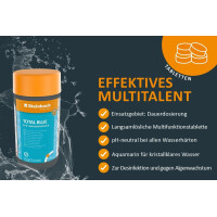 STEINBACH | Wasserpflege Starter Set I Pool Chlor Starterset für Einsteiger I Mini-Multitabs, Kristallklar, Dosierschwimmer, Testkit, pH-Senker & Chlorgranulat | Pool-Zubehör-Set für Anfänger
