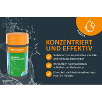 Steinbach Poolpflege Winterpflegemittel flüssig, 1 l, Algizide, 0753701TD00