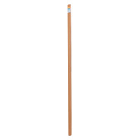 Steinbach Aluminium Teleskopstange 2-teilig, teleskopierbar von 240-480 cm - 061192KT - Naturkarton Verpackung, Blau