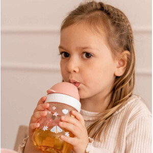 Mepal - Mio Trinklernbecher-Set 3-teilig - Antitropf-Henkelbecher 200 ml - 360° Trinklernbecher 300 ml - Strohhalmbecher 300 ml - Lernbecher für Kinder ab 6 Monaten - Auslaufsicher - Fairy Garden
