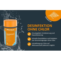 Steinbach | Poolpflege Test-Set | Sauerstoffgranulat 1 KG & Testkit für pH/O | ideal zur Wasserkontrolle, Erstdosierung & Schockbehandlung | Poolwasser sauber & kristallklar