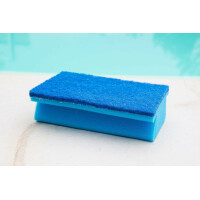 Steinbach | Reinigungsset für Pools | Gelrandreiniger Spezial alkalisch 1l + Handschrubber Doppelpack | gegen Schmutz-, Fett- & Rußränder | für Folien, Wände & Beckenränder