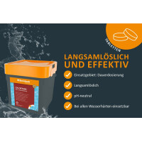 Steinbach Poolpflege Chlortabs 200 g langsamlöslich, 5 kg, Chlorprodukte, 0752205TD00