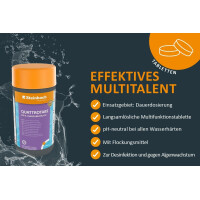 Steinbach Poolpflege Test-Set | Quicktest Streifen für pH-Wert & freies Chlor + Quattrotabs 200g | Wasseranalyse & Desinfektion in einem Set | schnelllöslich & pH-neutral | für Pools & Whirlpools