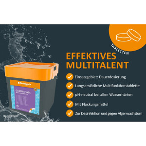 Steinbach Poolpflege Quattrotabs 200g langsamlöslich, 2X 5 kg, Chlorprodukte, 0752605TD02