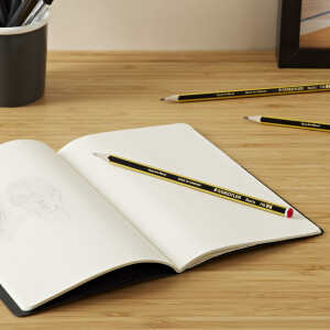 STAEDTLER Bleistift Noris 120, Made from Upcycled Wood, Härtegrad HB, Rutschfeste Soft-Oberfläche, hohe Buchfestigkeit, hohe Qualität Made in Germany, Blisterkarte mit 10 Stück, 120-2BK10D