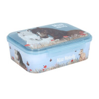 Depesche 13398 Miss Melody Dusty Rose - Brotdose in Hellblau, mit Pferde Motiv und Mohnblumen, Lunchbox mit 3 Fächern und transparentem Deckel