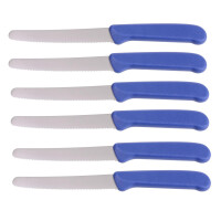 NEUSTANLO Brötchenmesser 6er Set | Wellenschliff Tafelmesser neutral blau | Spezialstahl & ergonomischer PP-Griff | rostfrei & spülmaschinengeeignet | ideal für Brot, Brötchen & Frühstück