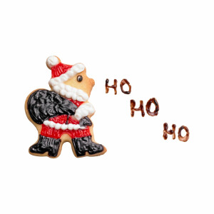 Original Kaiser Ausstechformen Weihnachten 11-teilig, mit Aufbewahrungabox, Keksausstecher, Plätzchen Ausstecher, Cookie Cutter, zum Ausstechen von Plätzchen/ Keksen/ Fondant, 23.4 x 12.5 x 7.1 cm