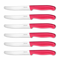 NEUSTANLO | Tafelmesser aus rostfreiem Stahl | 6 Stück | Pink | extra scharfer Wellenschliff | ideales Brötchenmesser, Tomatenmesser für den Frühstückstisch
