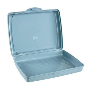 keeeper Handliche Box für Essen, Brotdose / Lunchbox, Transparent, 17 x 13 x 3,5 cm, Design Sandwich, Carla Mini, Nordic Blue