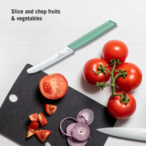Victorinox Swiss Modern 6er Set Frühstücksmesser | mintgrün | rostfreier Edelstahl | Polypropylen Griff | scharf & spülmaschinenfest | ideales Tafelmesser für Butter, Marmelade, Käse & Brot