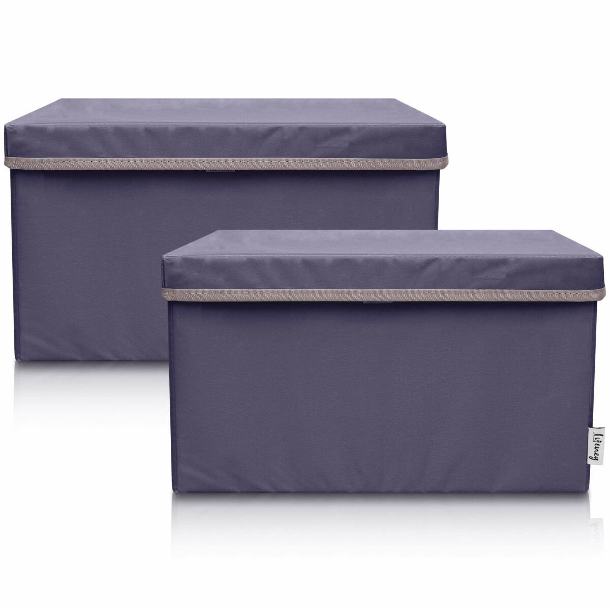 LIFENEY 2-Set Aufbewahrungsbox Kinder (37x25x21cm) I Aufbewa