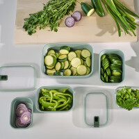 Mepal - Frischhaltdosen EasyClip - Schüssel mit Deckel & Schiebeverschluss - Geeignet für Mikrowelle, Dampfgarer, Kühl- und Gefrierschrank - Luftdicht & auslaufsicher - 700 ml - Nordic sage
