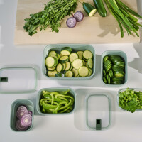 Mepal - Frischhaltdosen EasyClip - Schüssel mit Deckel und Schiebeverschluss - Geeignet für Mikrowelle, Dampfgarer, Kühl- und Gefrierschrank - Luftdicht und auslaufsicher - 1,5 l - Nordic sage