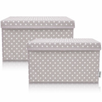 LIFENEY 2-Set Aufbewahrungsbox Kinder (37x25x21cm) I Aufbewahrungskorb für Kinderzimmer und Wohnbereich I Kinder Aufbewahrungskiste (Hellgrau Punkte)
