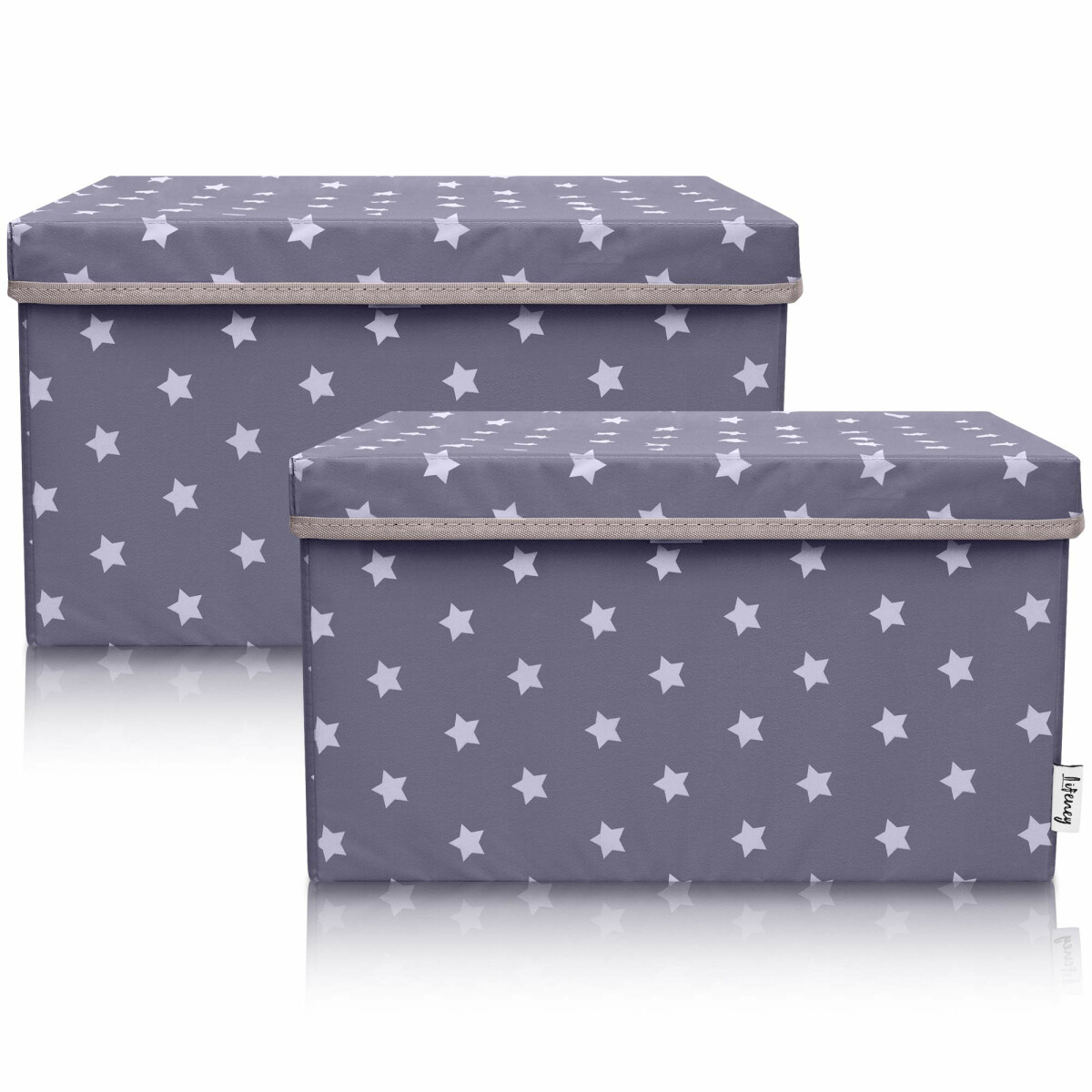 LIFENEY 2-Set Aufbewahrungsbox Kinder (37x25x21cm) I Aufbewa