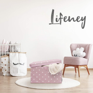 LIFENEY 2-Set Aufbewahrungsbox Kinder (37x25x21cm) I Aufbewahrungskorb für Kinderzimmer und Wohnbereich I Kinder Aufbewahrungskiste (Anthrazit)