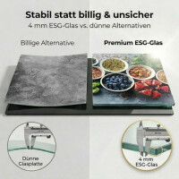 Neustanlo Glasschneideplatte & Herdabdeckplatte 50x28,5 cm | ESG-Sicherheitsglas 4 mm | rutschfest & hitzebeständig | Küchenabdeckung & Schneidbrett | Motiv Healthy Kitchen Grau Grün Rot Blau